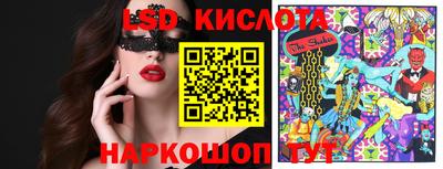 гашик Дубна