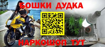 гашик Дубна