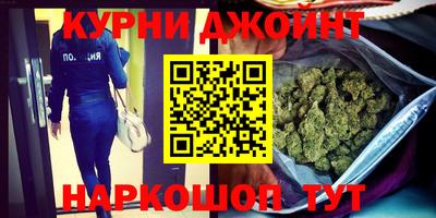 гашик Дубна