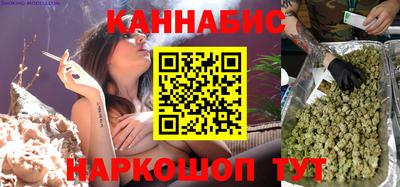 гашик Дубна