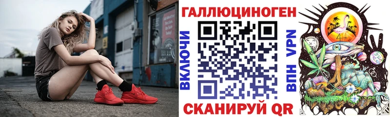 где можно купить Нарткала Галлюциногенные грибы Psilocybe