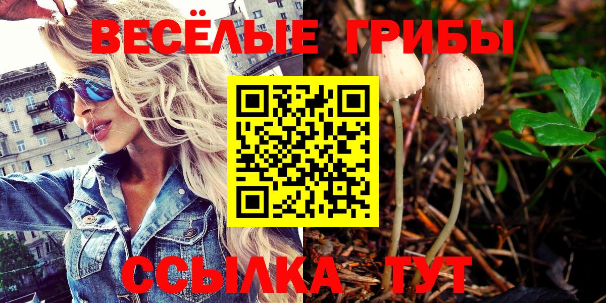 Галлюциногенные грибы мухоморы  Псилоцибиновые грибы ЛСД  Вход с VPN  Нарткала 